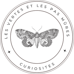 store_logo